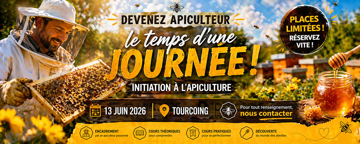 initiation apiculture Tourcoing formation abeilles rucher débutant
